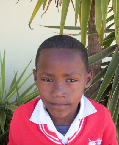 Click Keano's picture to sponsor him!